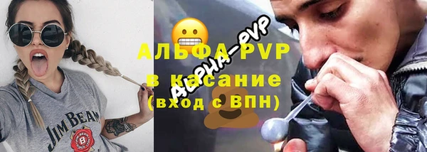 стаф Алексин