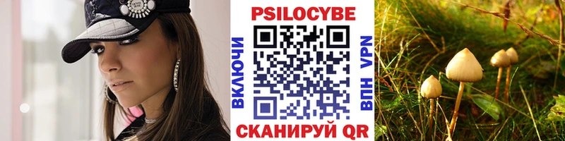 Галлюциногенные грибы мицелий  цены наркотик  Лесной 